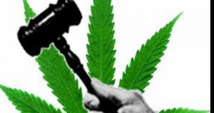 Légalisation du cannabis en france