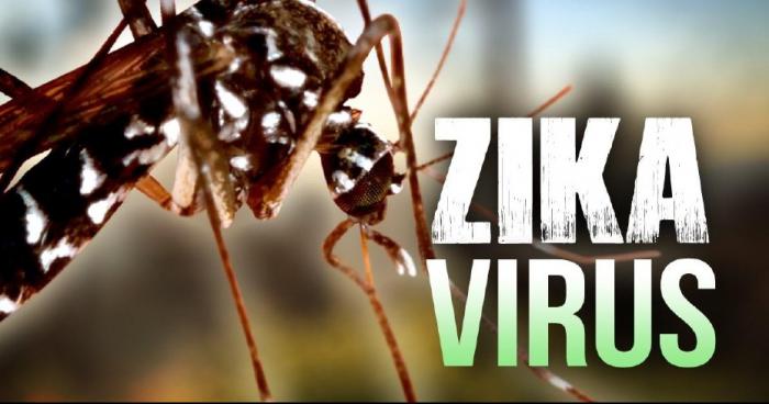 Zika en france: Décès d'un nourrisson atteint de microcéphalie