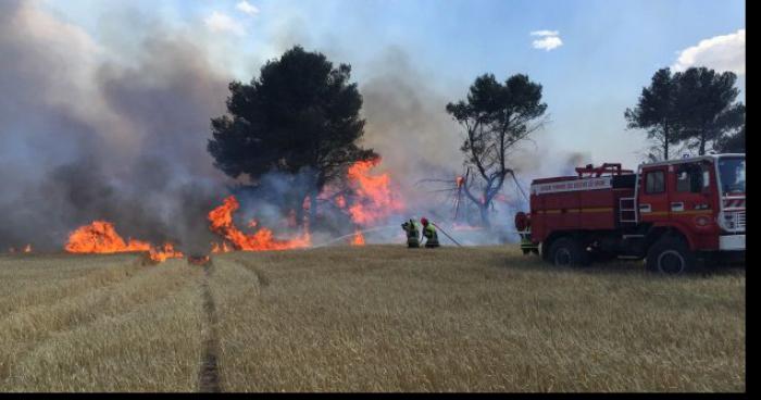 Le feu détruit trois hectares de végétation dans l'Eure