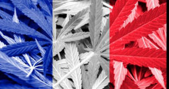 Le Cannabis est desormé légal en France