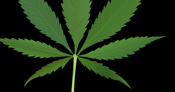 Le cannabis légal