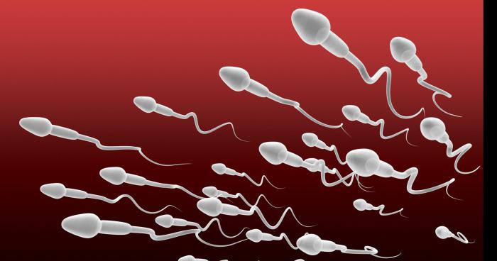Le sperme est bénéfique pour les maux de gorge
