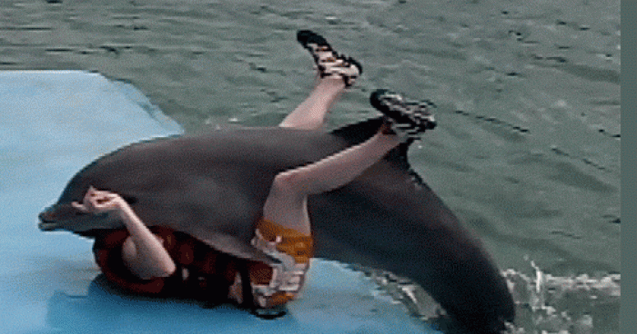 Un dauphin pervers viole une jeune fille blonde au Cap d'Agde
