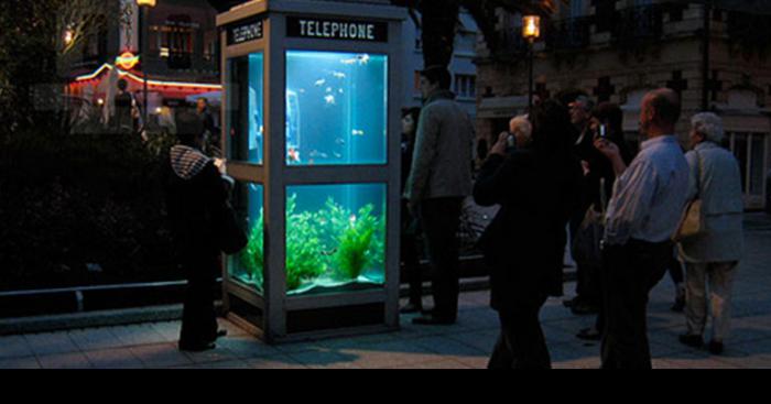 La cabine téléphonique transformée en aquarium à Nantes volée cette nuit !