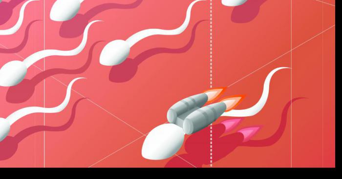 Tourcoing capitale du sperme