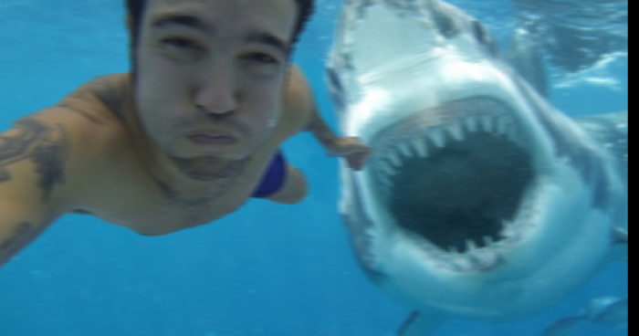 Il prend un selfie juste avant une attaque de requin mortelle