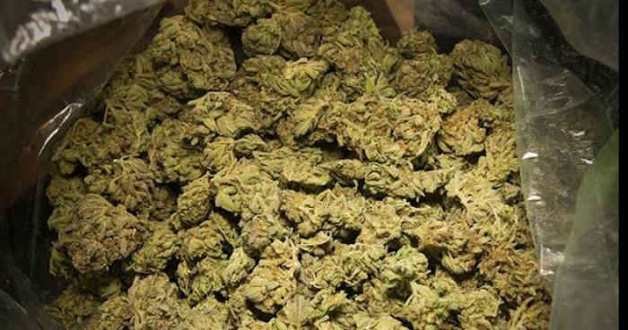 2 mosellans arrêté en possession de 25kilos de cannabis
