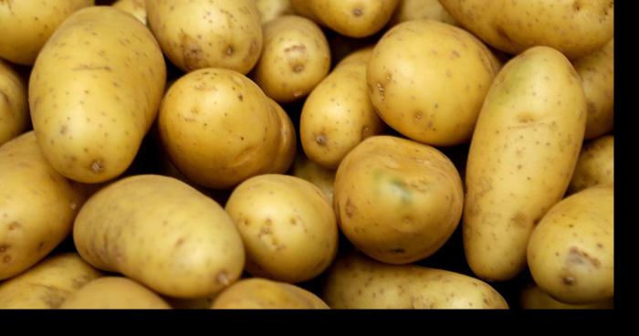 Révélation : La patate est une légume
