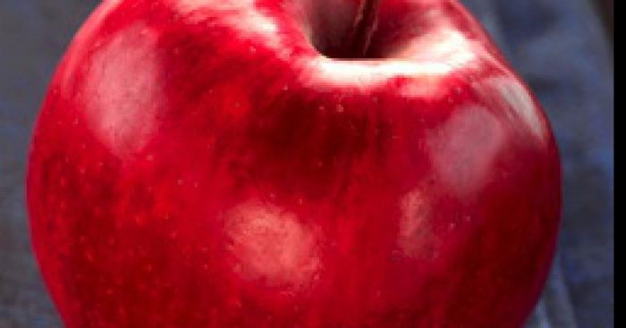 Un nouveau virus dans les pommes