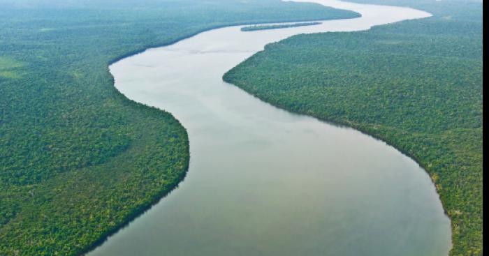Créature non identifiée dans le fleuve Amazonien