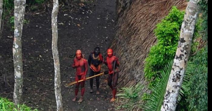 Naturopathie : Un chaman de la tribu Mashco-Piro soupçonné de guérir avec des plantes